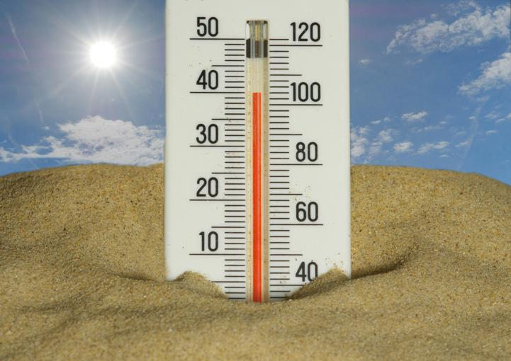Chat d'appartement et canicule : les astuces qui marchent vraiment