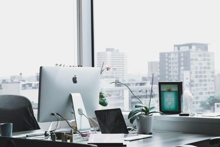 Chat d'appartement et rentrée : gérer le retour au bureau après les vacances